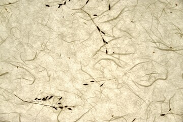 Texture of Korean crafts paper