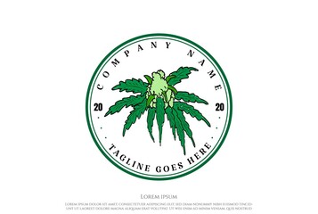 Retro Vintage Cannabis Marijuana Hemp CBD Oil Label Logo Design Vector