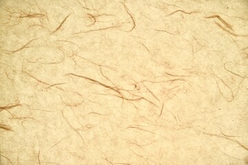 Texture of Korean crafts paper