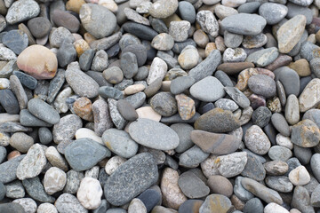 Flat pebble texture natural stone background, top view. Flat stones of various colors and sizes, used in garden or beach decoration