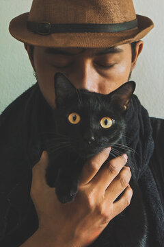 Cat's eyes look instead of human eyes.