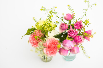 花の写真　Photos for common flower backgrounds 