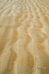 Sand ripples