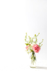 花の写真　Photos for common flower backgrounds 