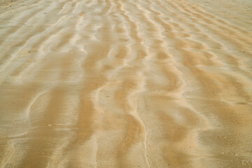 Sand ripples