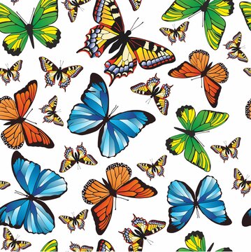 Vector pattern with butterflies on a white background.
Seamless pattern for fabric, paper, wallpaper. Texture with colored insects