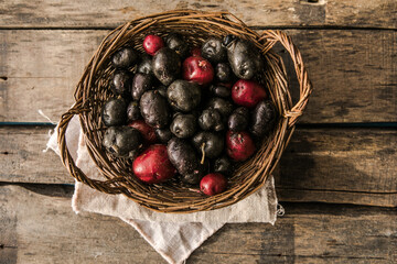 Homegrown organic raw purple Vitelotte potato in half close up