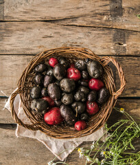 Homegrown organic raw purple Vitelotte potato in half close up