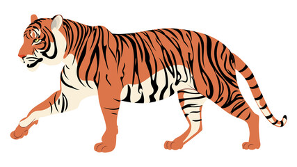 Fototapeta na wymiar Walking red tiger