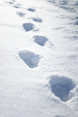 Fototapeta na wymiar Tiefe Fußspuren im Schnee