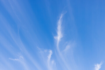 青い空に生える白い筋状の雲