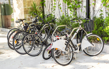 Bicycle parking near the building. Bicycle for rent. - 444508437