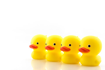Four yellow rubber ducks isolated on white.