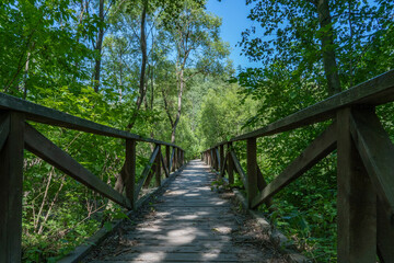 Wooden footbridge in the city park in summer.