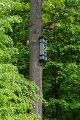 A house for birds high on a tree in the forest.
