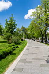 The road in the city park in sunny weather.