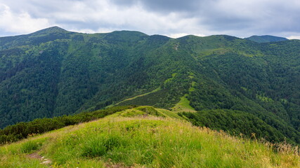 Fototapeta na wymiar View of the Kraviarske peak in Mala Fatra, Slovakia.