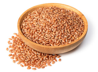 raw short-grain brown rice in the wooden bowl, isolated on white background