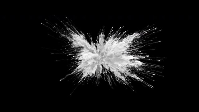 Color Burst - white smoke powder explosion. Fluid ink particles slow motion alpha matte isolated on black 4k