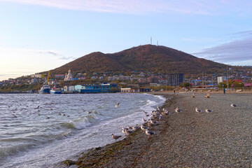 landscape with the coastline of Petropavlovsk-Kamchatsky