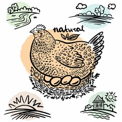 Set of drawings from the hand of chicken sits on the eggs and sketches of the village