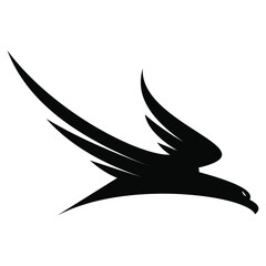 bird logo design vector  design template