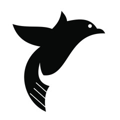 bird logo design vector  design template
