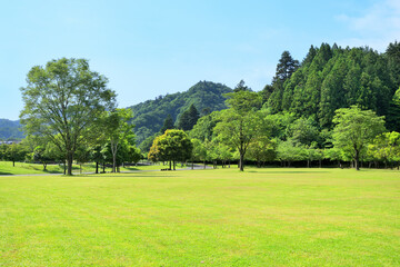 Fototapeta na wymiar 宮ケ瀬湖付近　神奈川県清川村付近の風景
