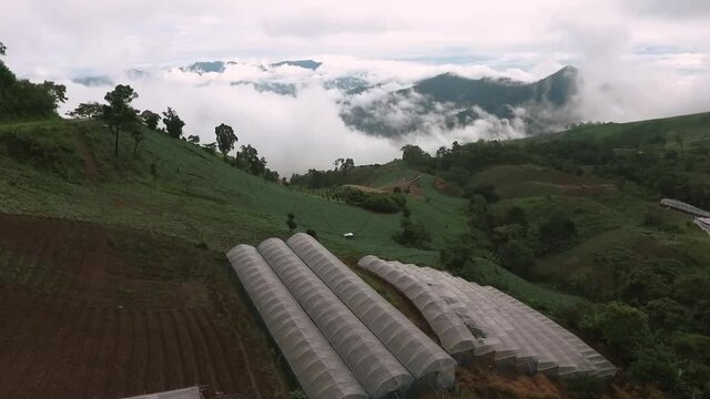 Beautiful scenery  sunrise time of Khun Sathan National Park at Nan province in Thailand