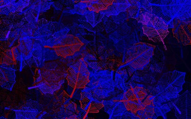 Dark Blue, Red vector doodle background with leaves.