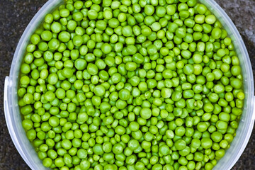 A Green peas on nature in the garden agriculture background