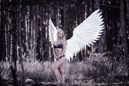 Engel Fotoshooting