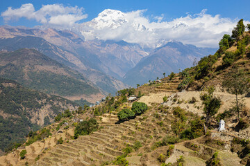 Fototapeta na wymiar Village of Annapurna region