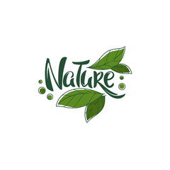 beauty of nature doodle organic leave emblem,  frame and logo