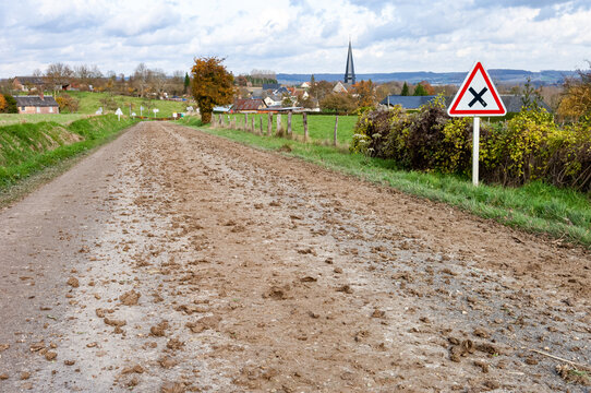 Ensilage ma&iuml;s en automne par temps pluvieux. Traces de boue sur la chauss&eacute;e