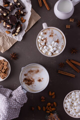 Winter cocoa drink with milk foam and marshmallow in a mug and an aluminum scoop, cinnamon and almonds, cane sugar and star anise, dark chocolate with nuts, top view
