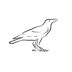 Vector of crow design isolated on white background. Easy editable layered vector illustration. Wild Animals.