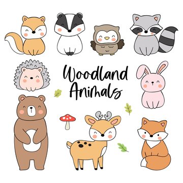 Draw collection cute woodland animal Doodle cartoon style