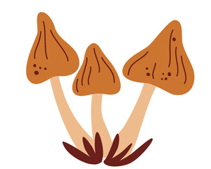 Mushrooms. Porcini mushrooms set. Autumn mood. Flat cartoon vector illustration isolated on white background.