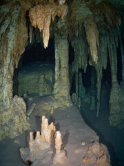 Underwater limestone cave (Cenote Dos Ojos, Tulum, Quintana Roo, Mexico)