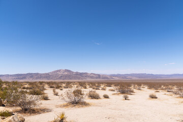 Low Angle Wide Photo of Joshua Tree National Park Desert and Mountains