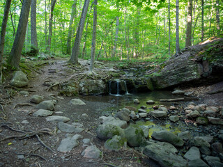 beautiful enchanted forest scene trail tree roots waterfall geology