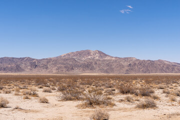 Fototapeta na wymiar Joshua Tree National Park Scenic View of Mountain and Desert