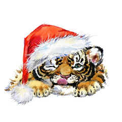 Cute tiger watercolor illustration. Year of the Tiger card. © Елена Фаенкова