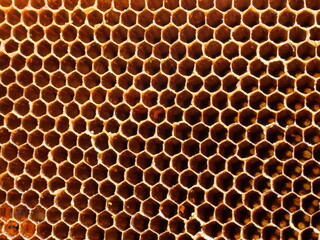 The Brown area is filled with hexagonal channels., Abstract background on Honeycomb, Texture for add text or graphic design 