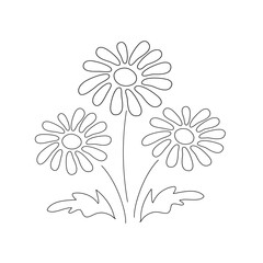 Spring dandelions bouquet contour vector illustration. Botanical decoration. Summer garden icon. Isolated objects on white background. Black and white line art. Daisy flower coloring book page