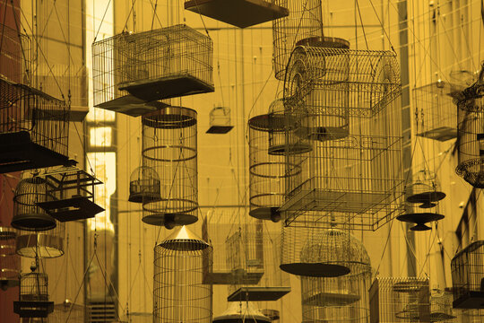 Empty bird cages suspended above Angel Place. An art installation "Forgotten Songs". The sounds and songs of fifty birds once heard in Sydney play in the background. By Michael Thomas Hill.