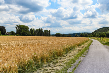 Weizenfelder zwischen Mülheim und Kettwig