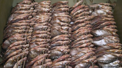 Industrial fish ambassador. The process of salting fish in fisheries.