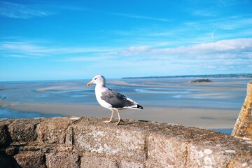                                 Processed with VSCO with g6 preset